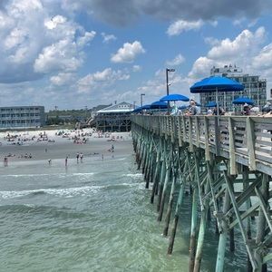 Meet your Posher, Debbie